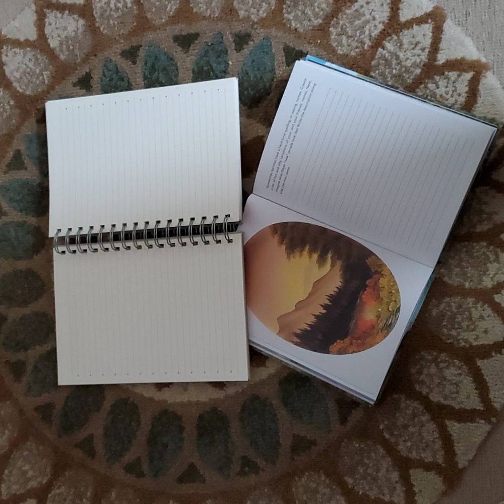 Pair of journals - Picture 2 of 4